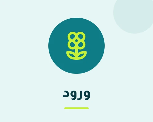 ورود